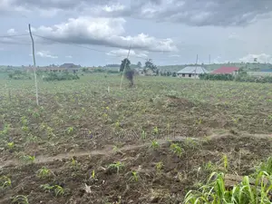 5plots of Land for Sale at Kasoa, New Ntonkrowa