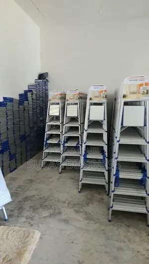 5 Step House Ladder
