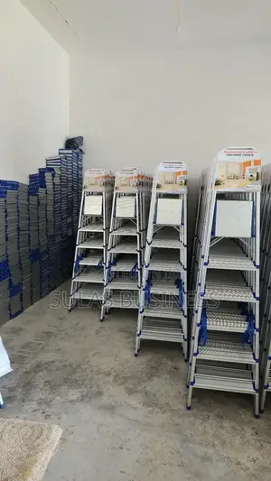 5 Step House Ladder