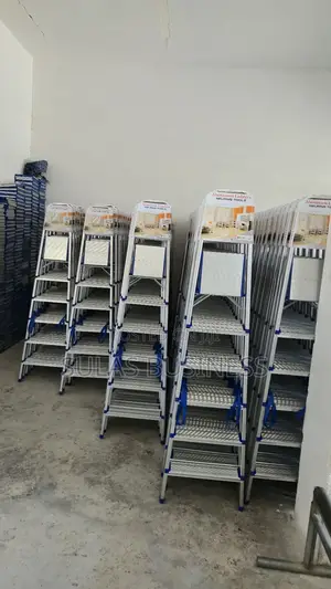 5 Step House Ladder