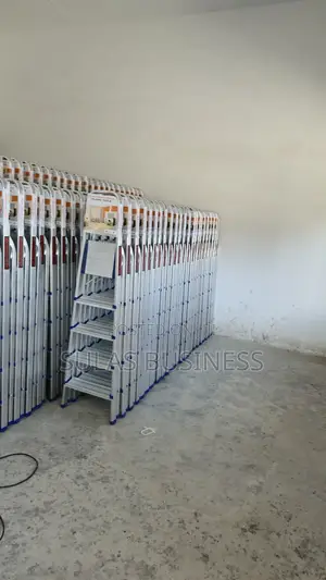 5 Step House Ladder