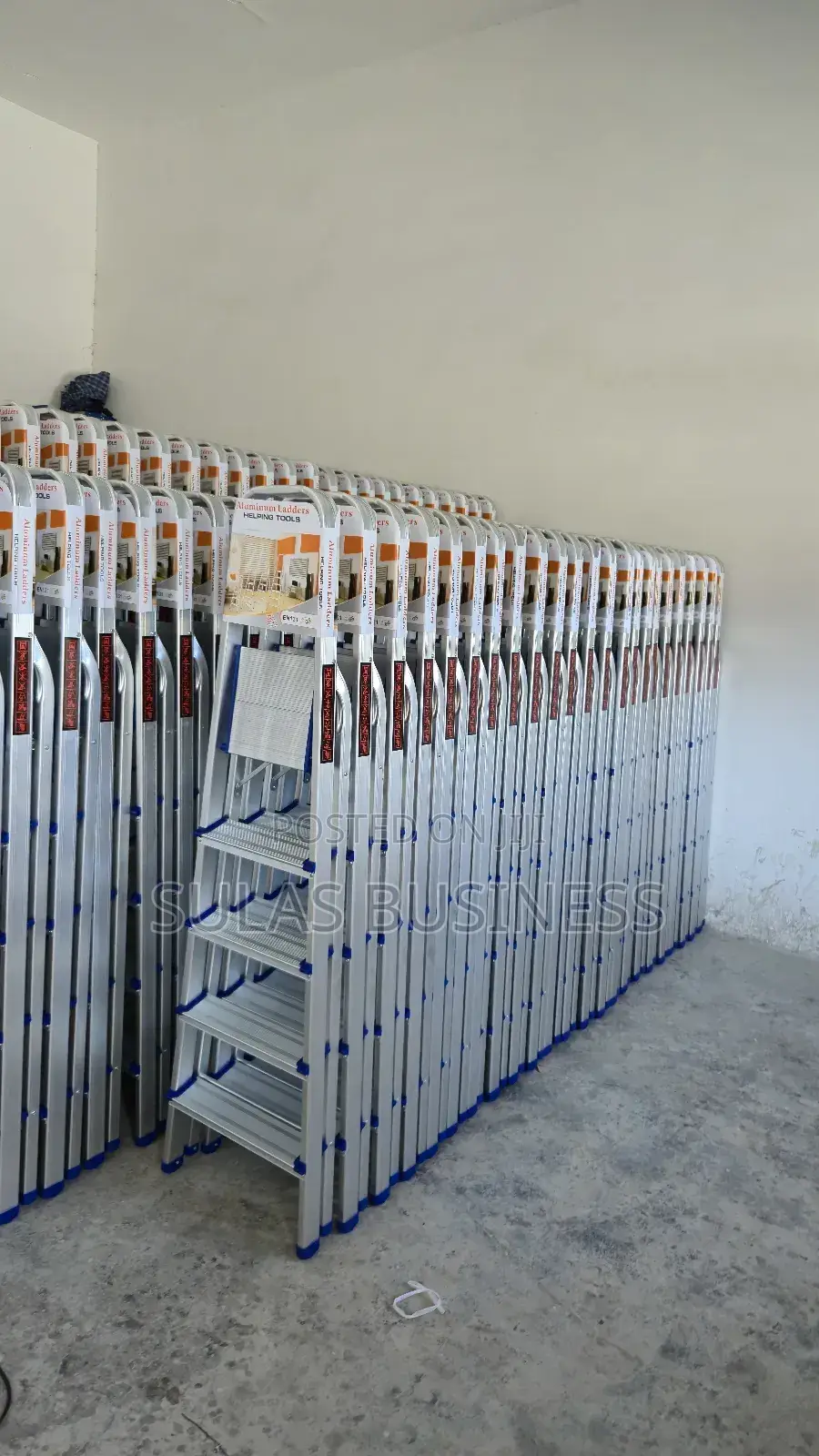 5 Step House Ladder