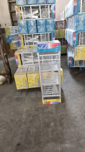 4×3 (12 Feet )House Ladder