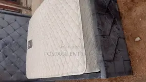 Gray Bed With Foreign Matress