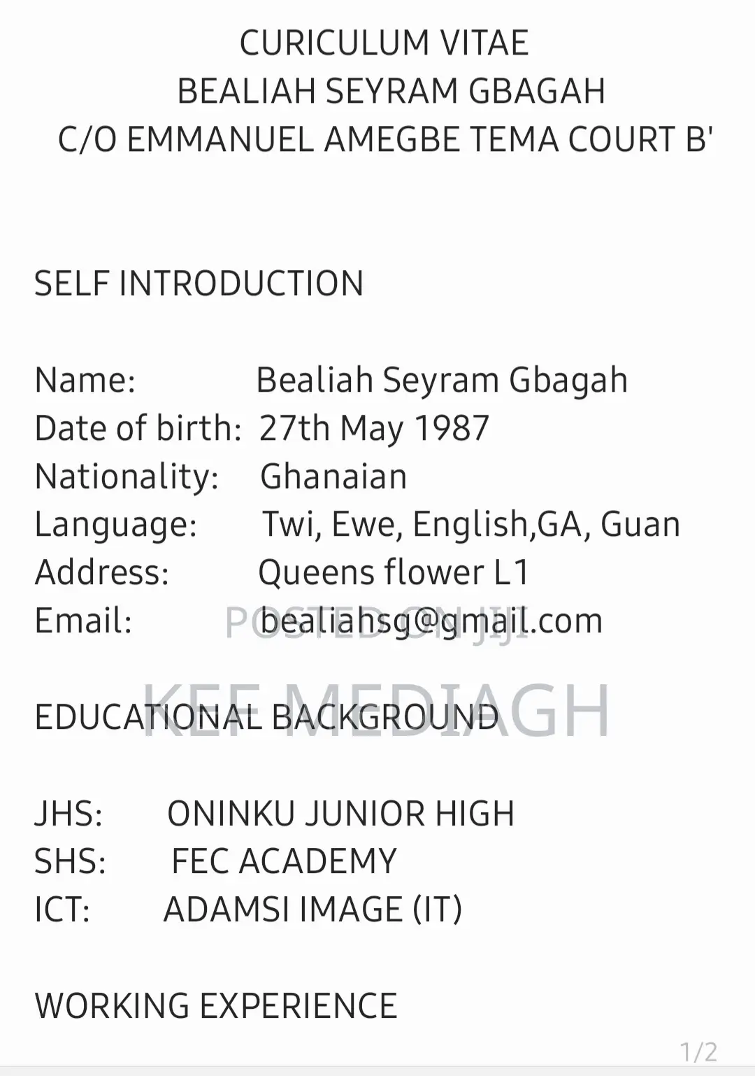 Childcare Babysitting CV