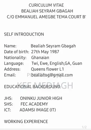 Childcare Babysitting CV