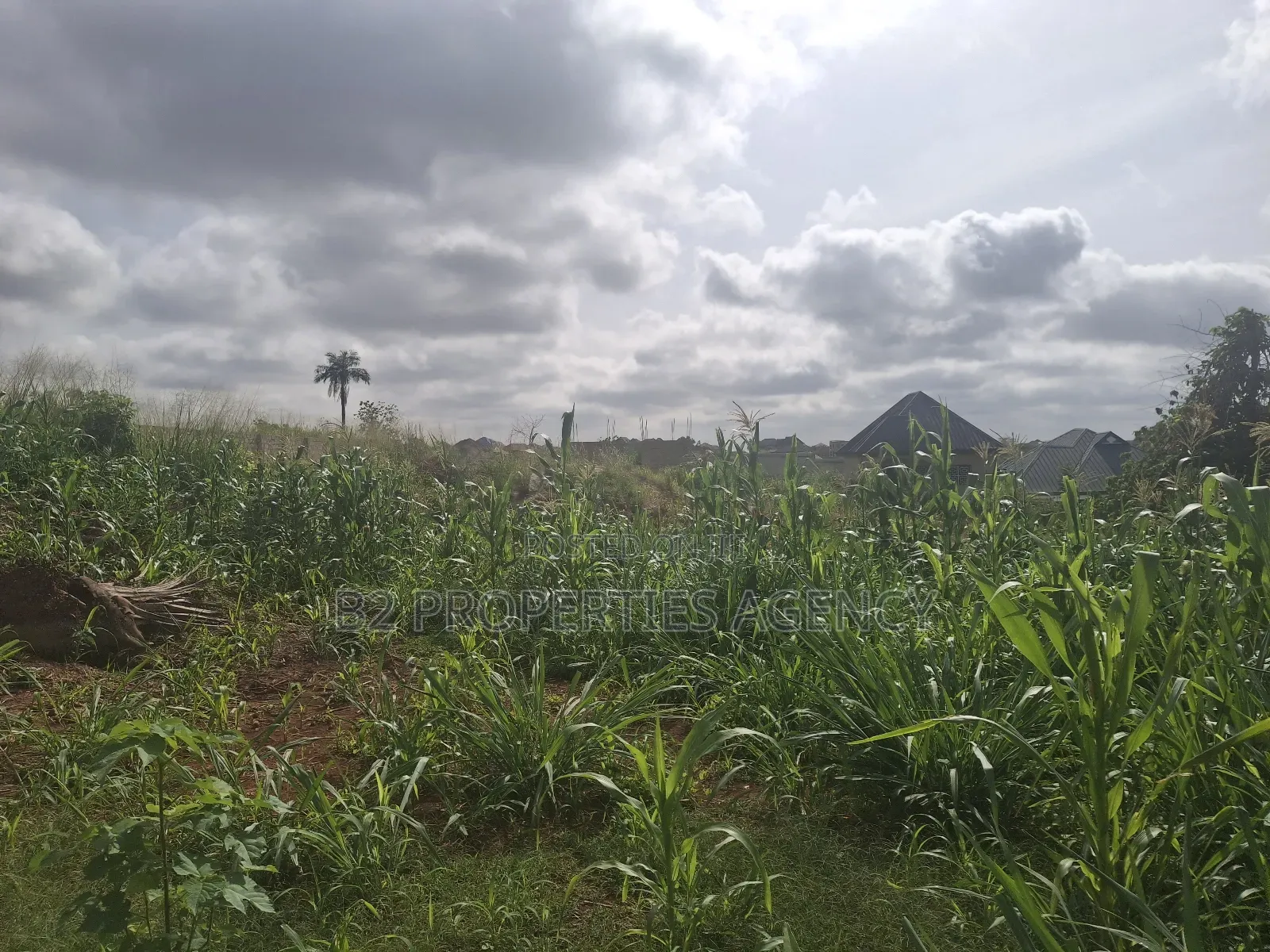 Land for Sale in Atwima Boko