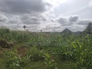 Land for Sale in Atwima Boko