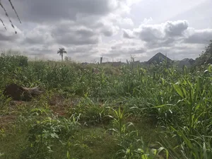 Land for Sale in Atwima Boko