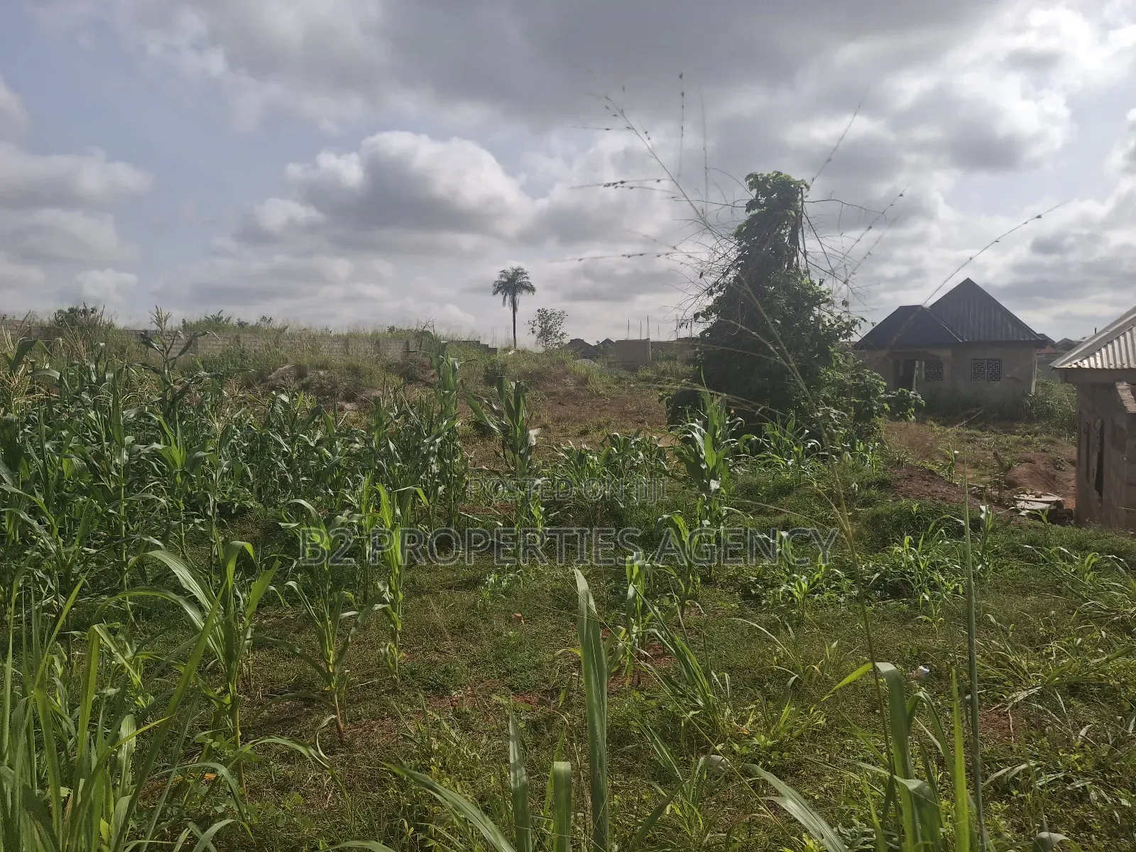 Land for Sale in Atwima Boko