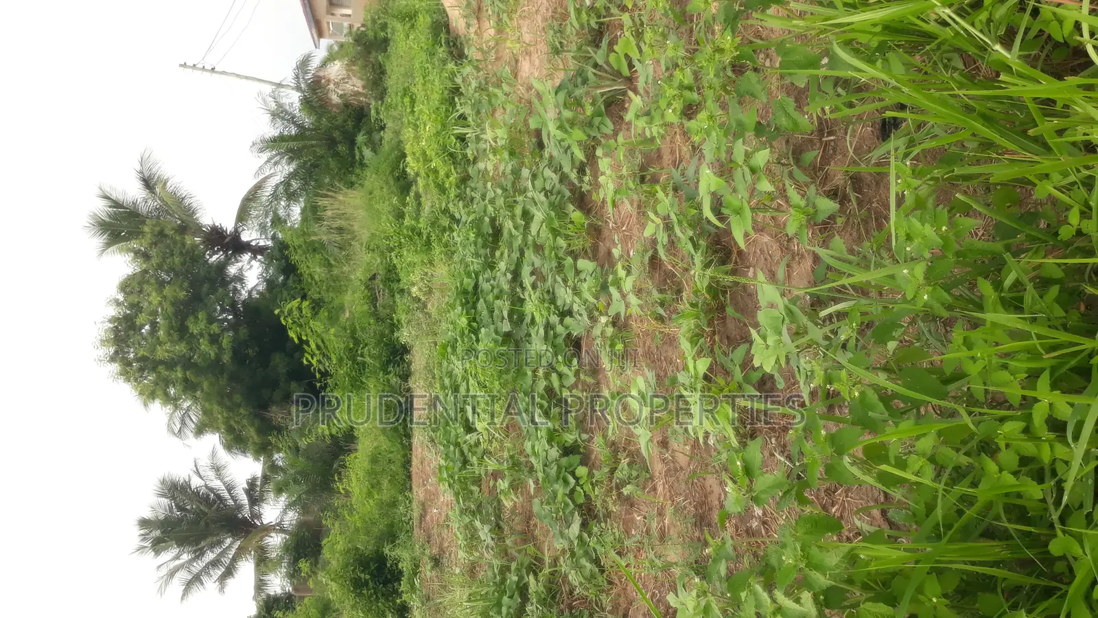 3 Plots of Land for Sale at Kasoa Adom City Estate