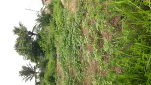 3 Plots of Land for Sale at Kasoa Adom City Estate