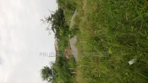 3 Plots of Land for Sale at Kasoa Adom City Estate