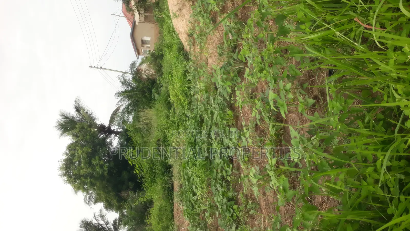 3 Plots of Land for Sale at Kasoa Adom City Estate