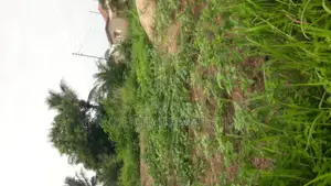 3 Plots of Land for Sale at Kasoa Adom City Estate