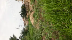 3 Plots of Land for Sale at Kasoa Adom City Estate