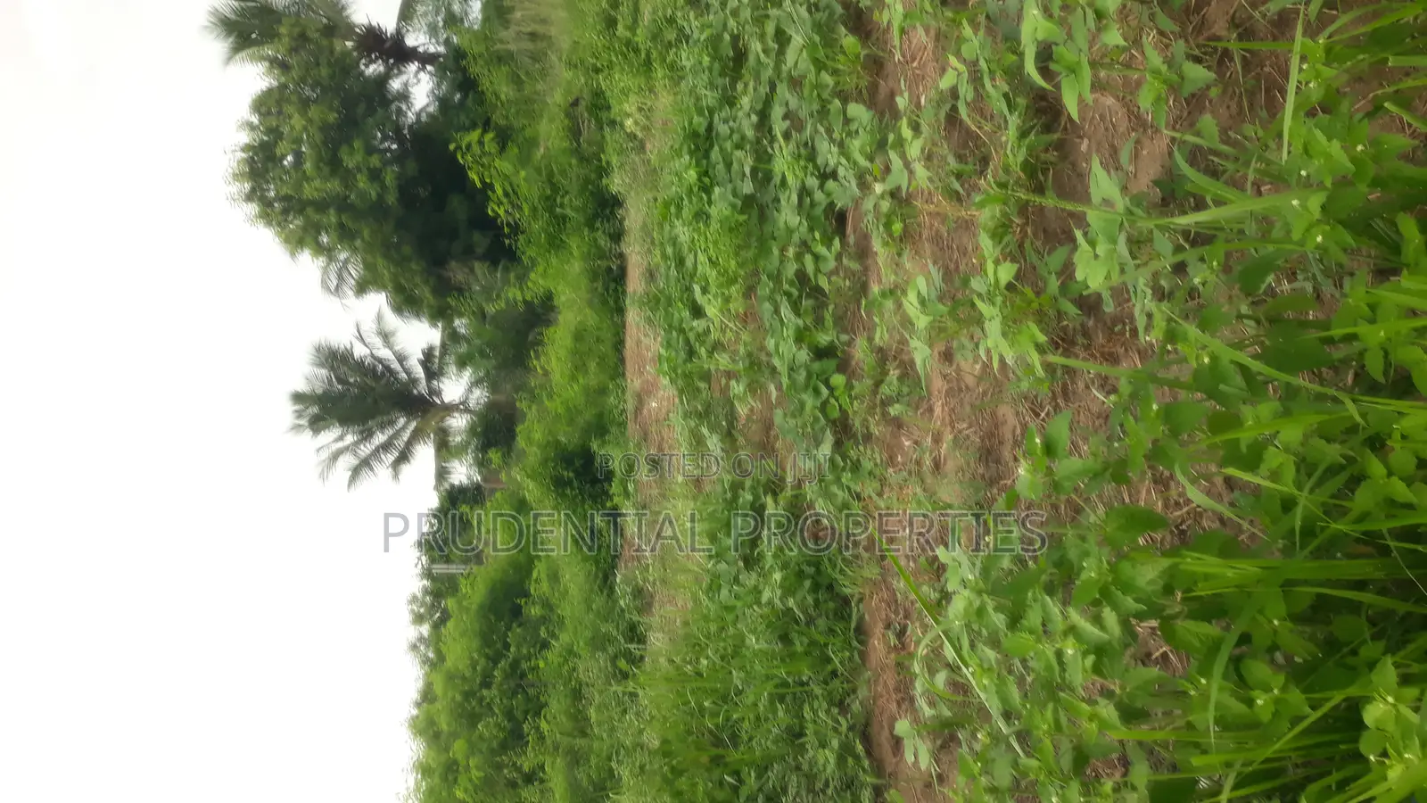 3 Plots of Land for Sale at Kasoa Adom City Estate