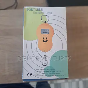 Crane Hanging Scale 50kg Max