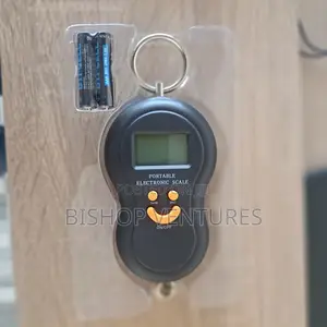 Crane Hanging Scale 50kg Max