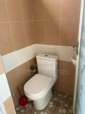 Furnished 1bdrm Apartment in Tseaddo for rent