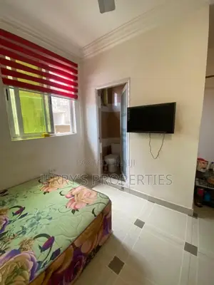 Furnished 1bdrm Apartment in Tseaddo for rent
