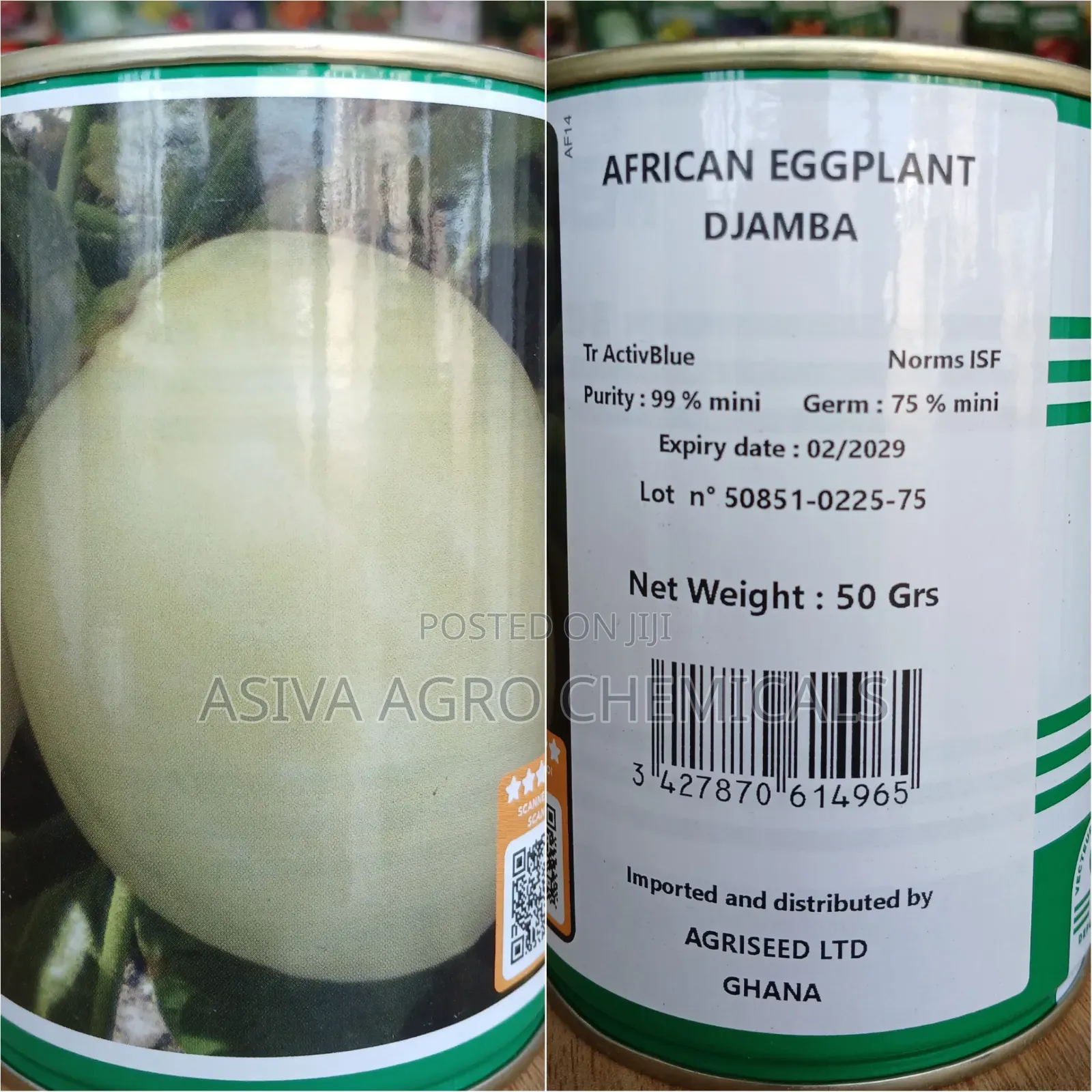 African Eggplant Seeds (Garden Egg)
