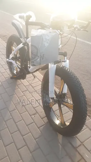 Big Tire Bicycle With Lovely Design Size 26