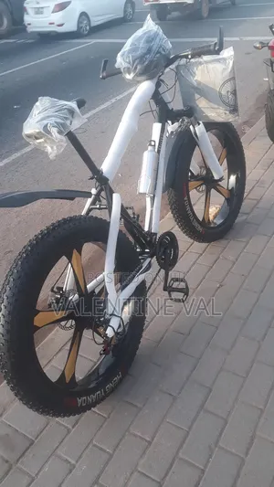 Big Tire Bicycle With Lovely Design Size 26