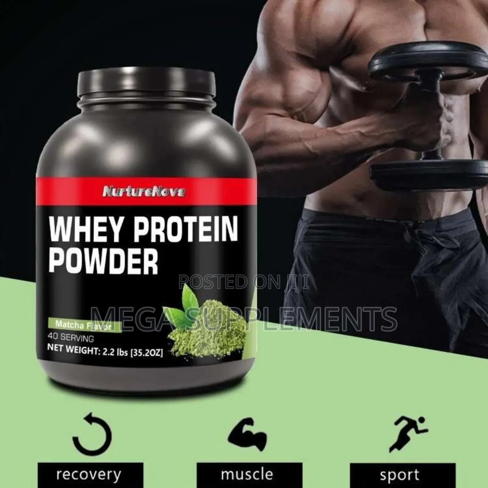 Whey Protein Muscle Builder
