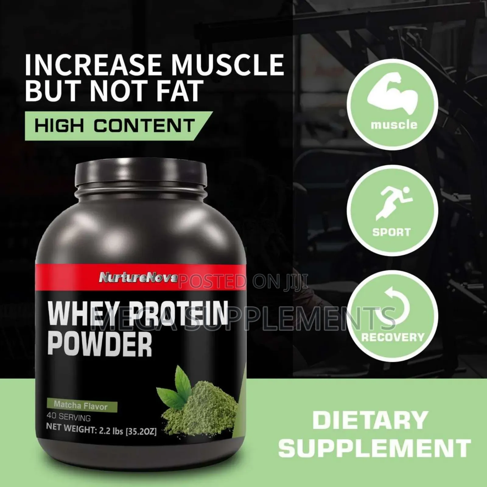 Whey Protein Muscle Builder
