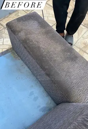 Sofa Cleaning and Floor Cleaning