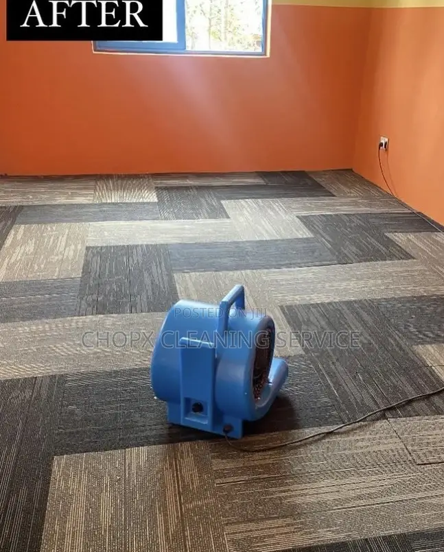 Sofa Cleaning and Floor Cleaning