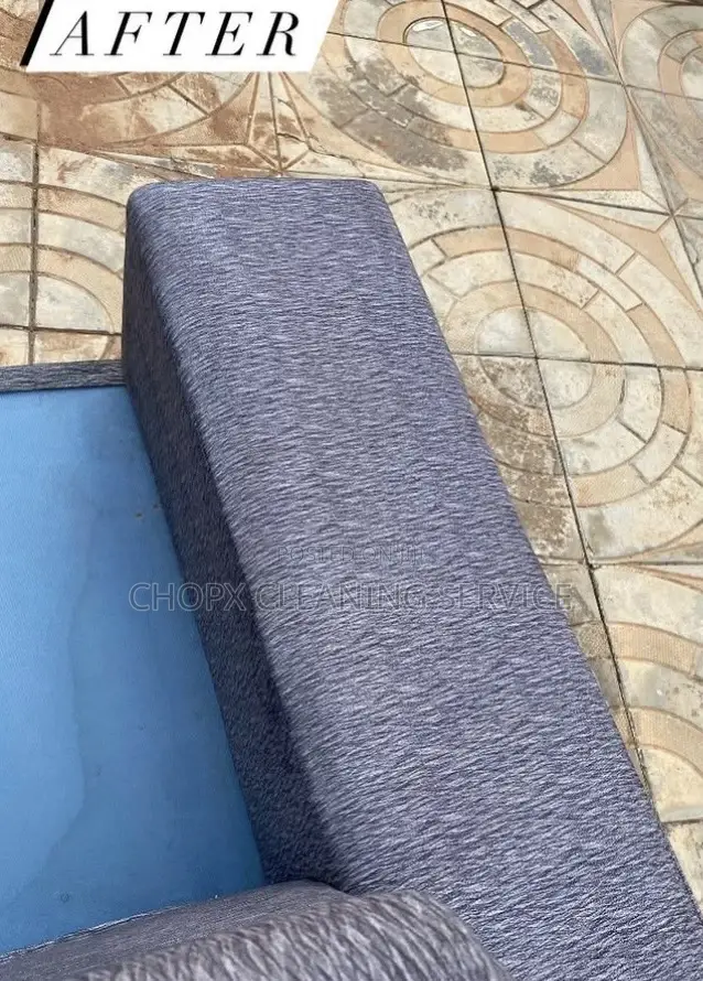 Sofa Cleaning and Floor Cleaning