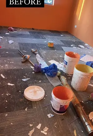 Sofa Cleaning and Floor Cleaning