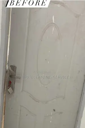 Door Cleaning and Sanitizing for a Good Looking .