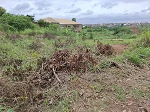 Full Plot for Sale in Sokoban Konkorl