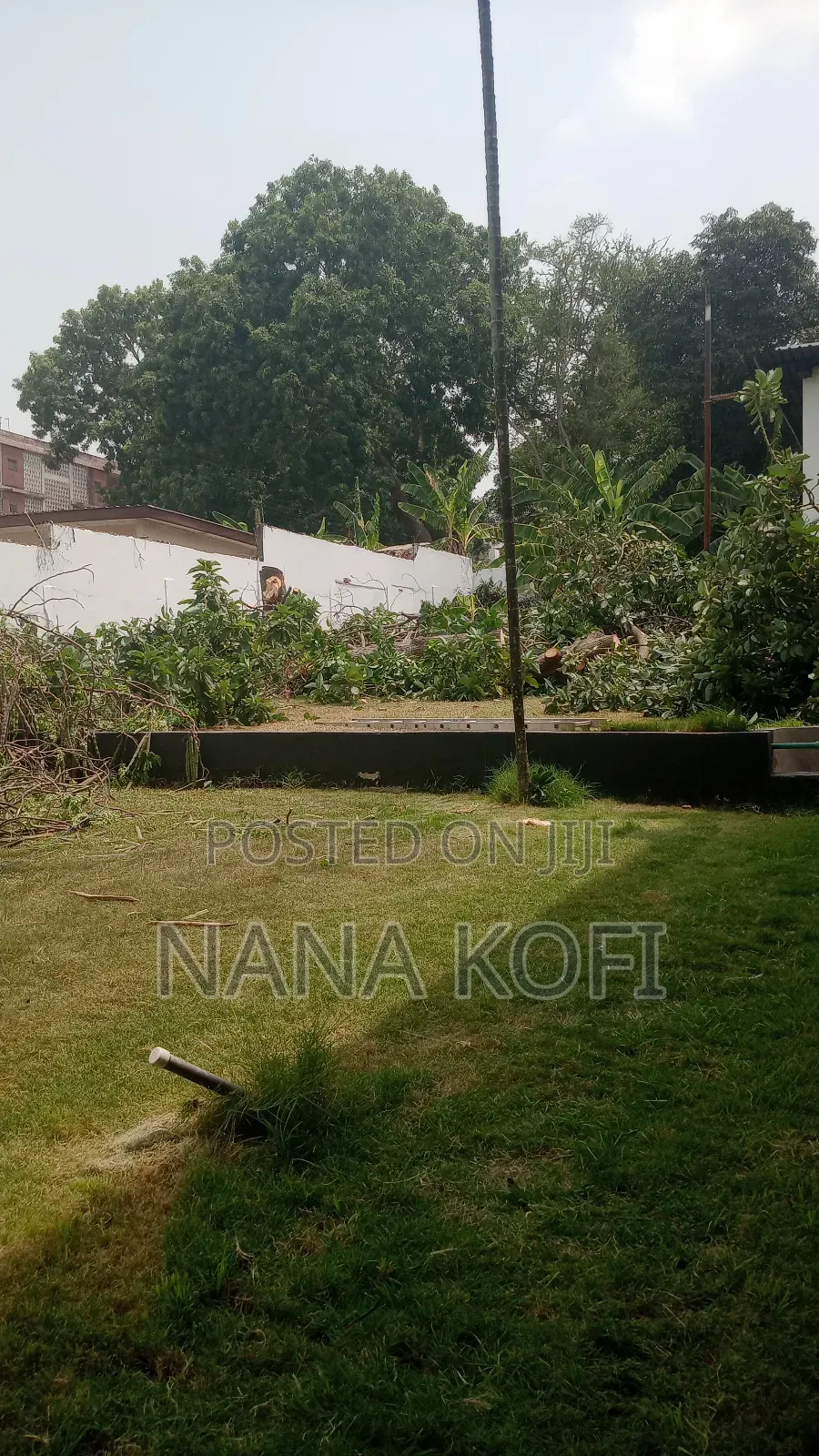 Chainsaw Operator for Tree Cutting