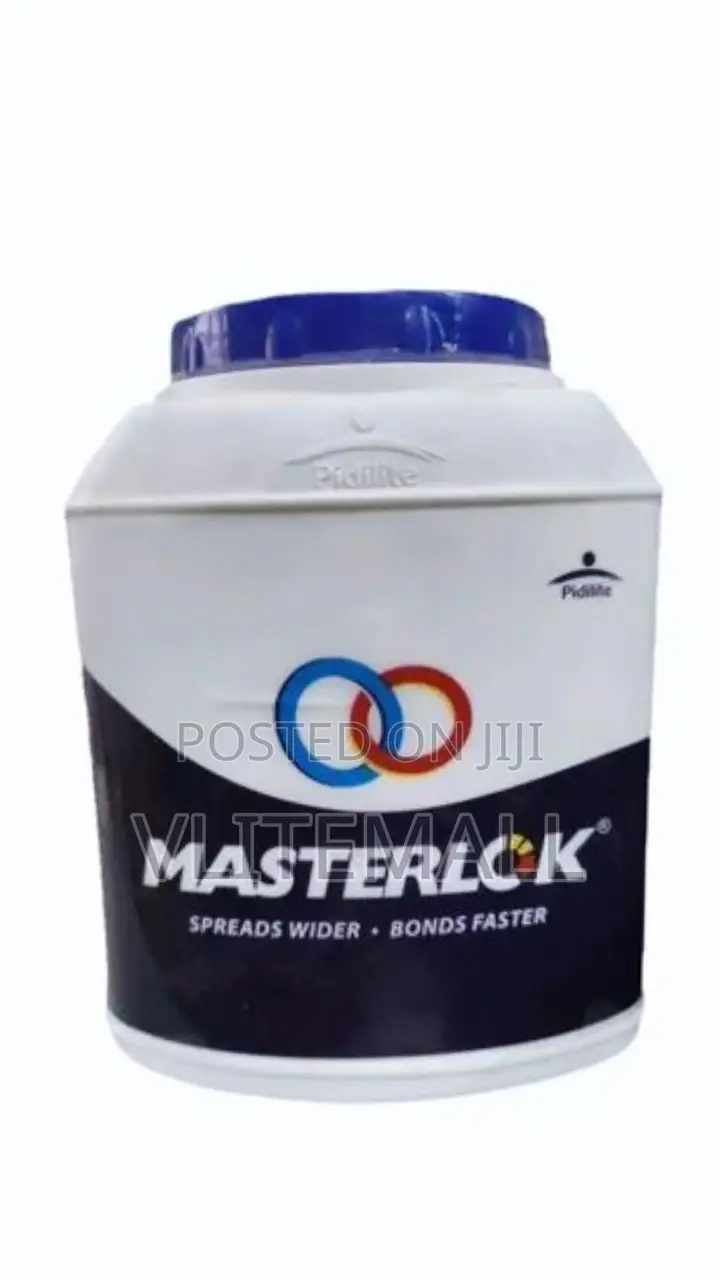 Pidilite Master Lock Fevicol 5kg