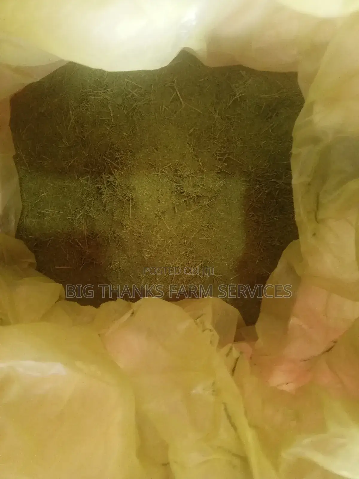 Moringa Leaf Powder for Animals Feeds