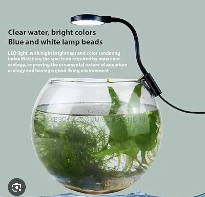 Aquarium Fish Bowl Light