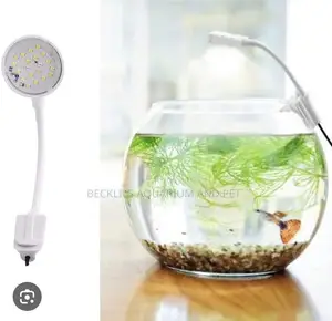 Aquarium Fish Bowl Light