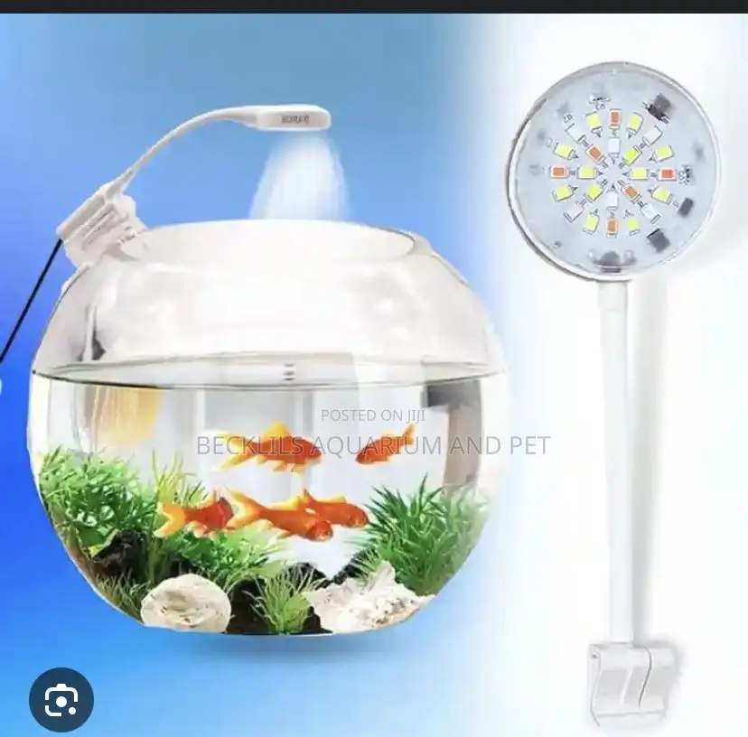 Aquarium Fish Bowl Light
