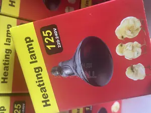 Heat Bulb for Brooding