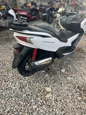 Honda Forza 2022 White