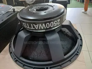 Titanic Naked Speaker '18' Inches