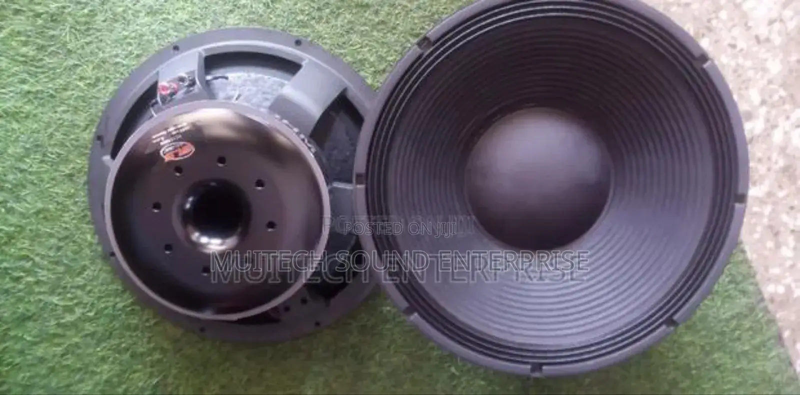Titanic Naked Speaker '18' Inches