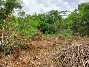2 Acres Roadside (Main Highway) Residential/Commercial Land