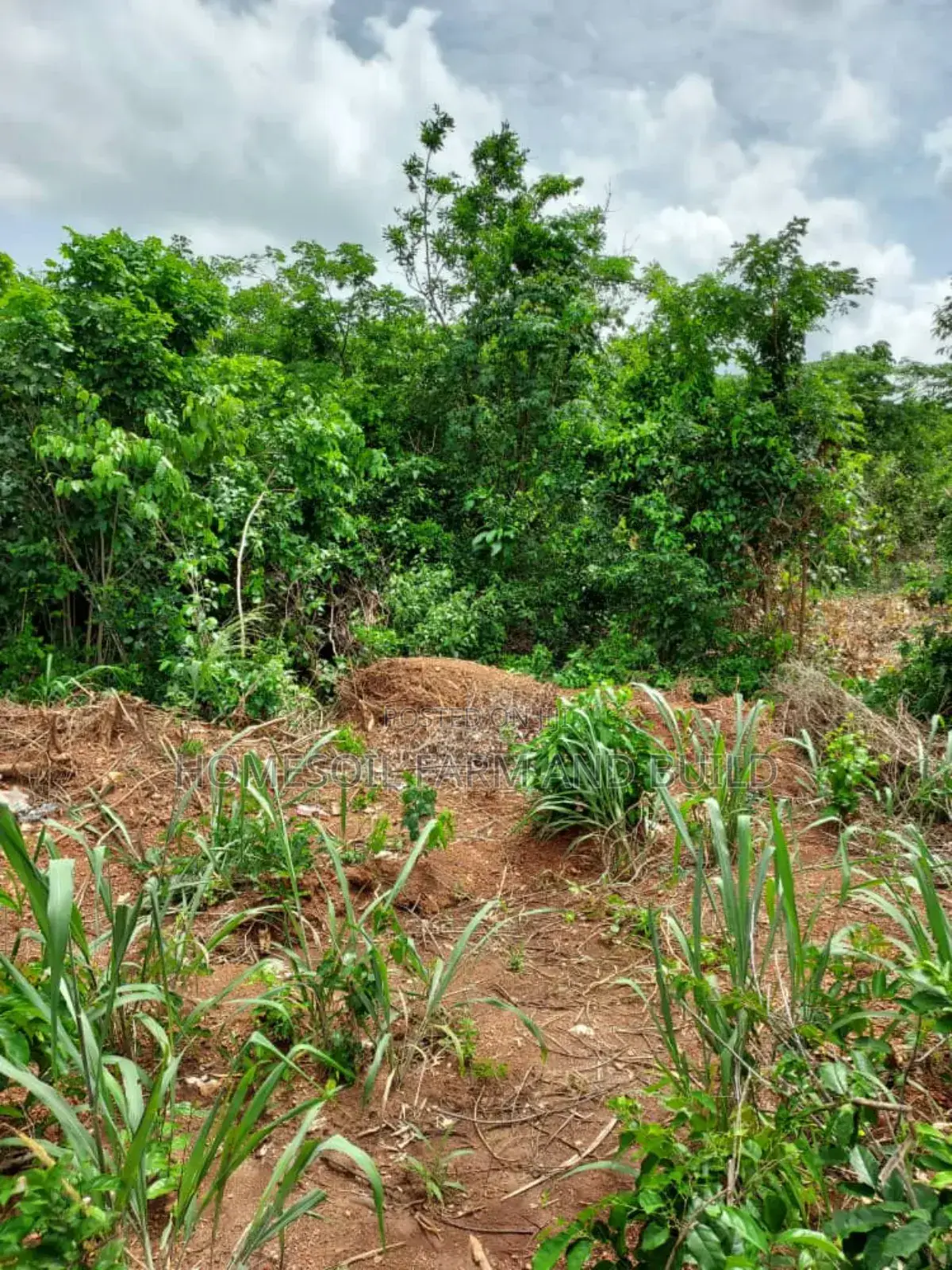 2 Acres Roadside (Main Highway) Residential/Commercial Land
