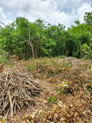2 Acres Roadside (Main Highway) Residential/Commercial Land