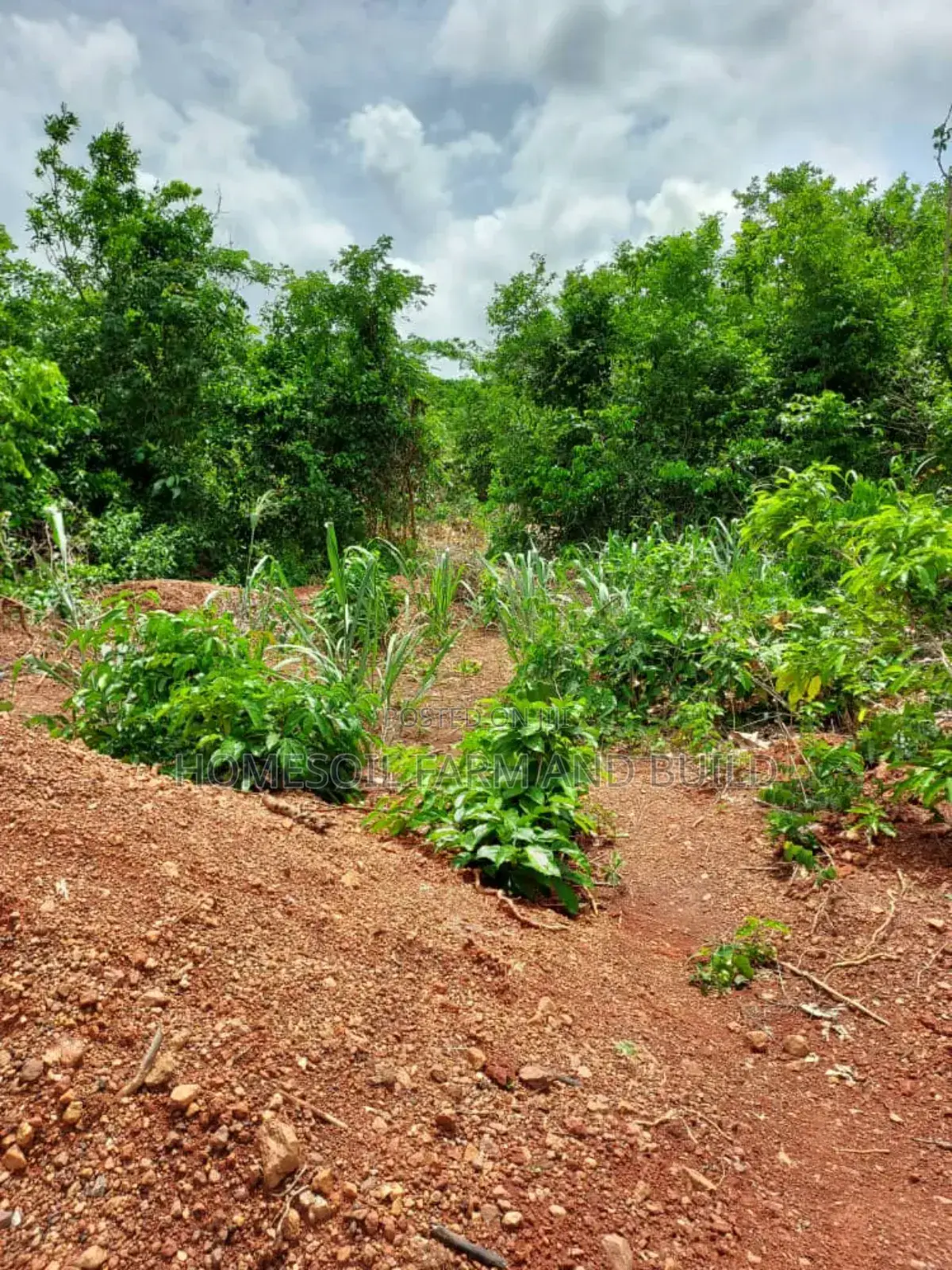 2 Acres Roadside (Main Highway) Residential/Commercial Land